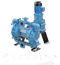 COGNITO